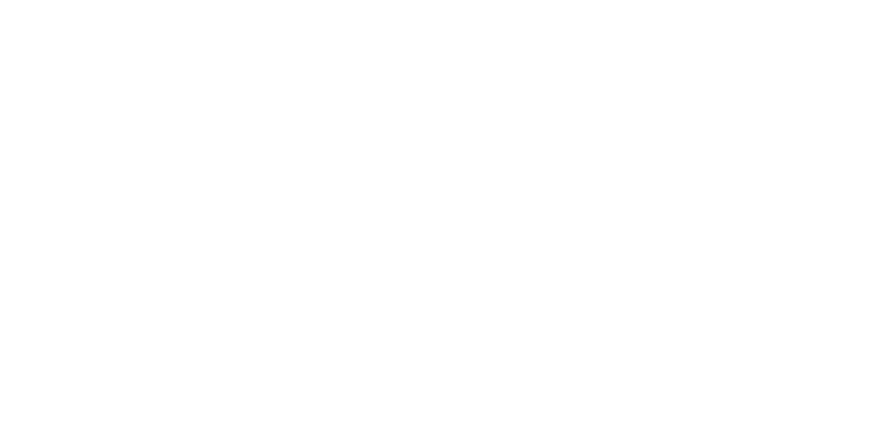 Toras Moshe